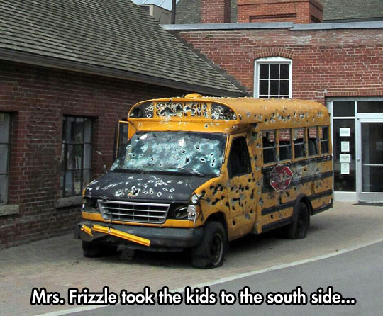 Dammit Mrs Frizzle