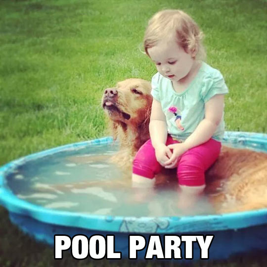 Pool Party