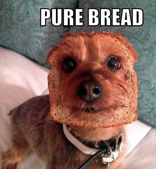 Pure Bread