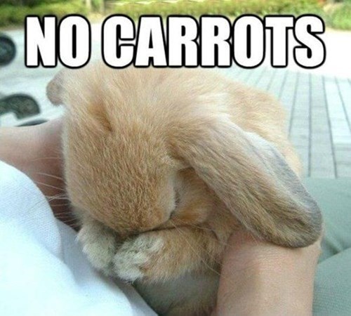 Poor Bunny