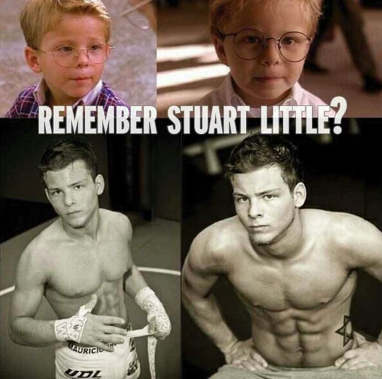 Remember Stuart Little?