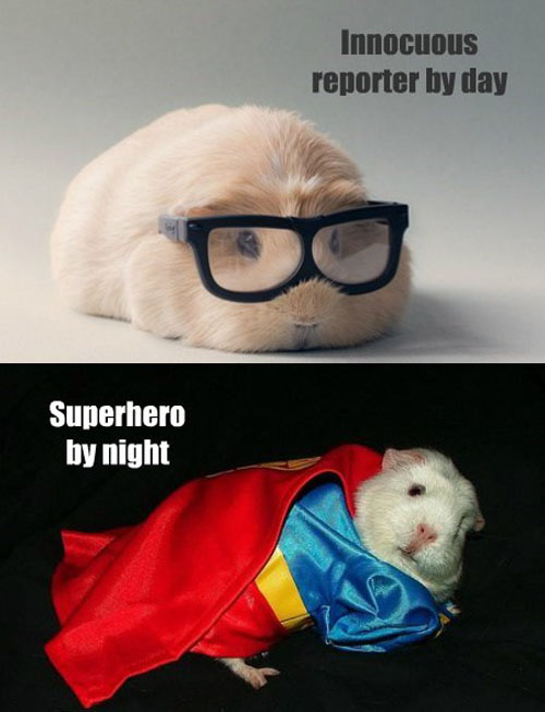 Super Guinea Pig