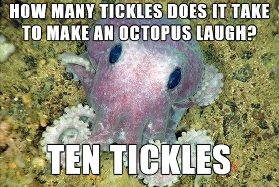 Tickle An Octopus