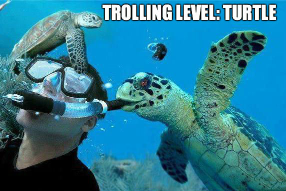 Trolling Turtle