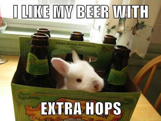 Extra Hops