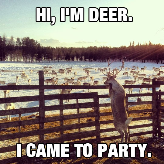 Hi, I'm Deer
