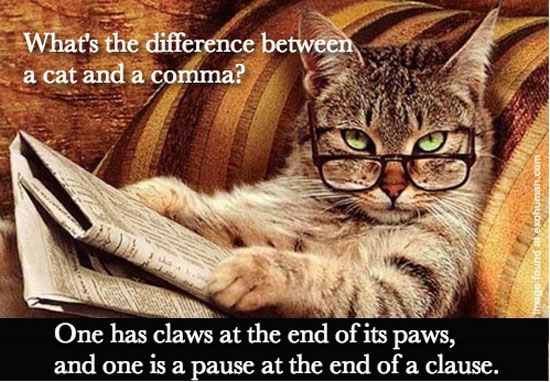 Difference Between A Cat &amp; A Comma