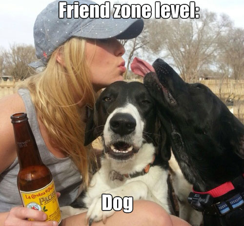 Dog Friendzone