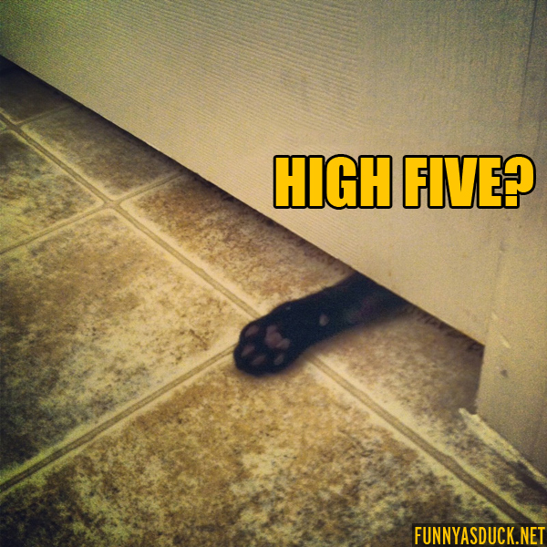 High Five?