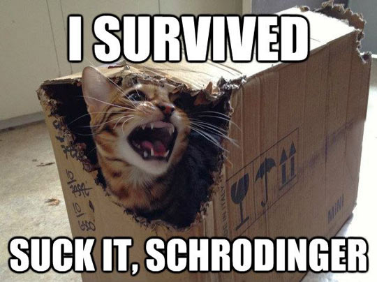 I Survived