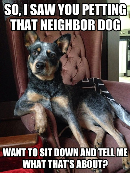 The Neighbor Dog