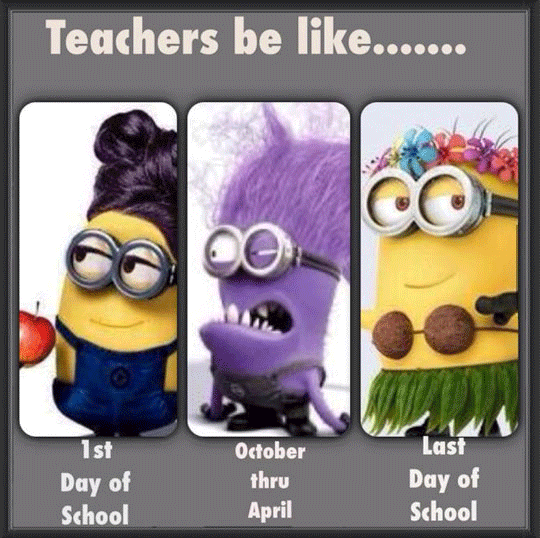 Teachers Be Like...