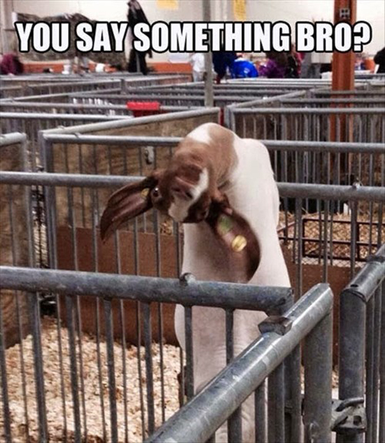 You Say Something, Bro?