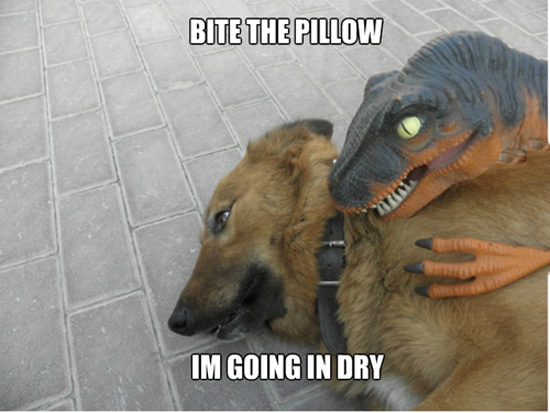 Bite The Pillow