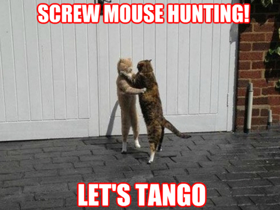 Screw Mouse Hunting