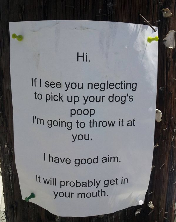 Pick Up Your Dog's Poop