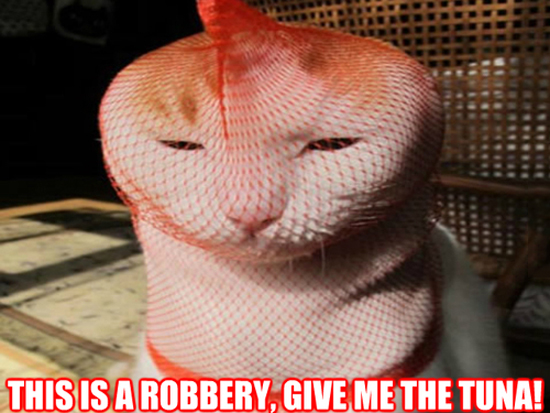 This Is A Robbery