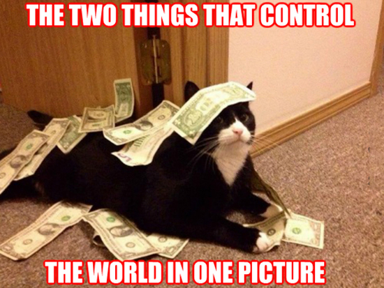 Cats &amp; Money