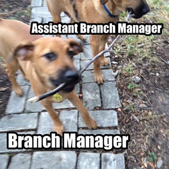 Branch Manager