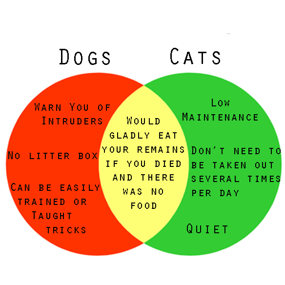 Dogs vs Cats