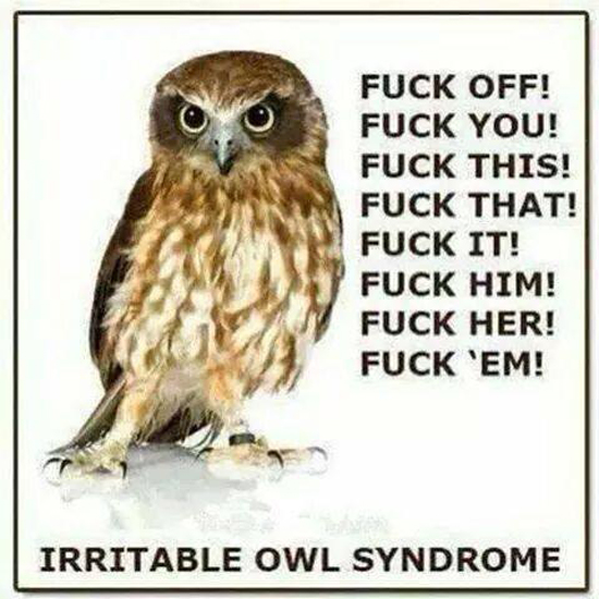 Irritable Owl Syndrome