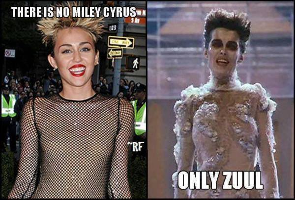 Only Zuul