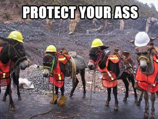 Protect Your Ass