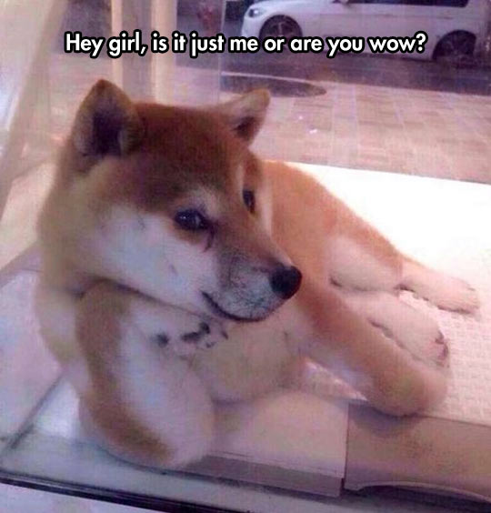 Smooth Doge