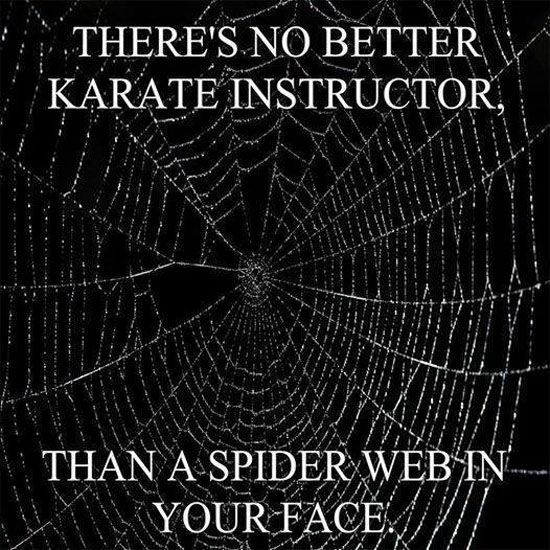 Karate Instructor