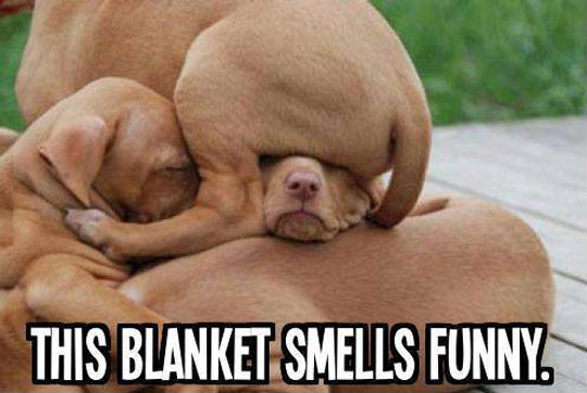 That Isn't A Blanket