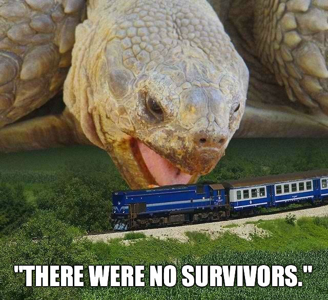 Mega Tortoise