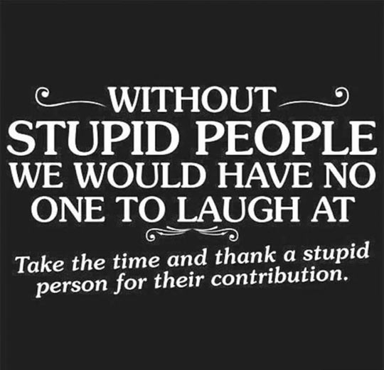 Stupid People