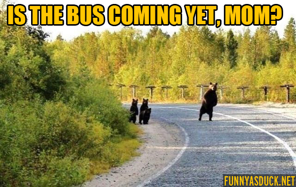 Is The Bus Coming Yet?