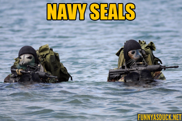 Navy Seals