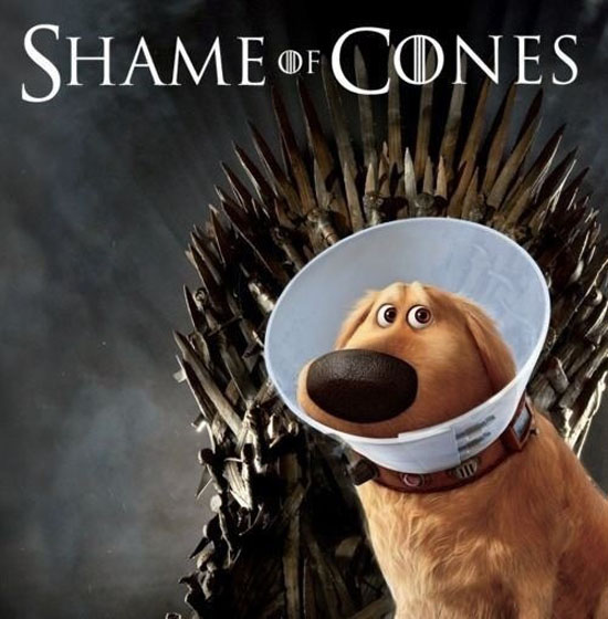 Shame Of Cones