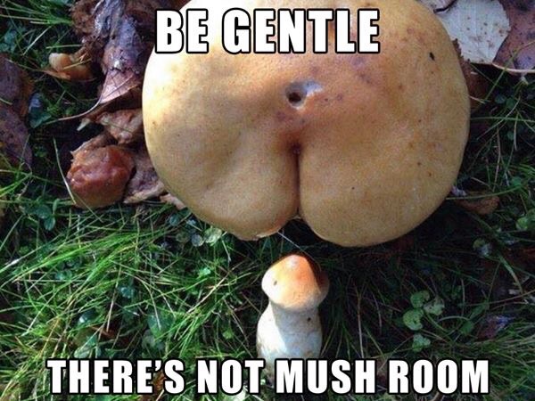 Be Gentle