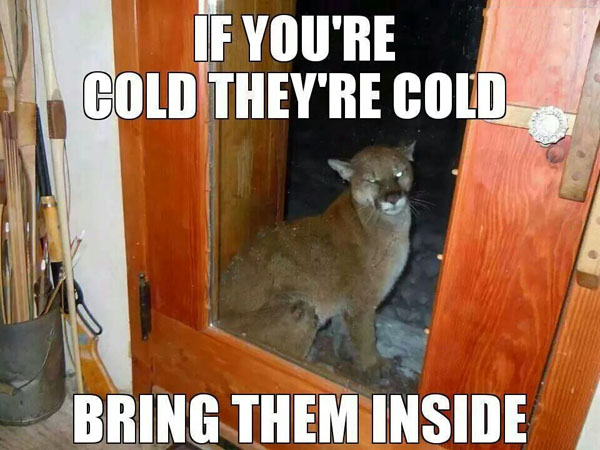 Bring Them Inside