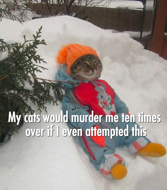 Snowsuit Cat