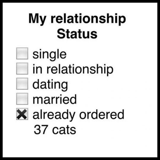 My Relationship Status