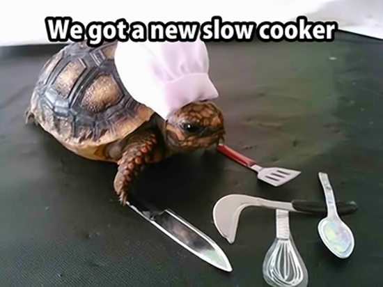 Slow Cooker