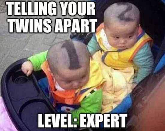 Telling Your Twins Apart