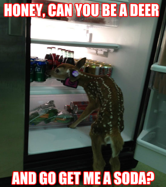 Be A Deer
