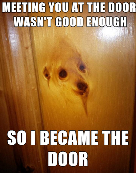 Overly Attached Dog