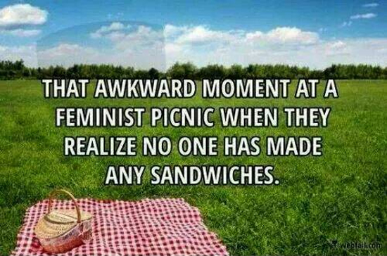 Feminist Picnic