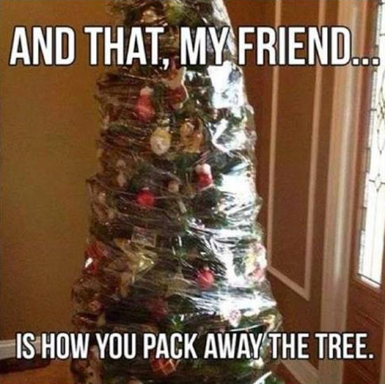 Pack Away The Tree