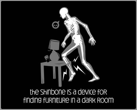 The Shinbone