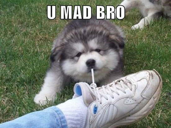 U Mad Bro?