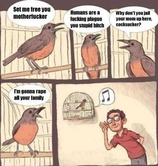 Bird Song