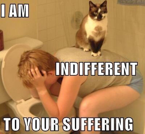 I Am Indifferent