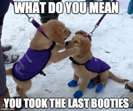 The Last Booties